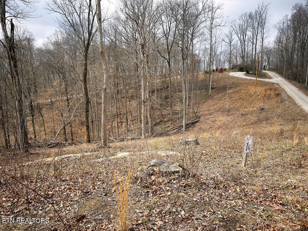 50 Crappie Lane Property Photo 3