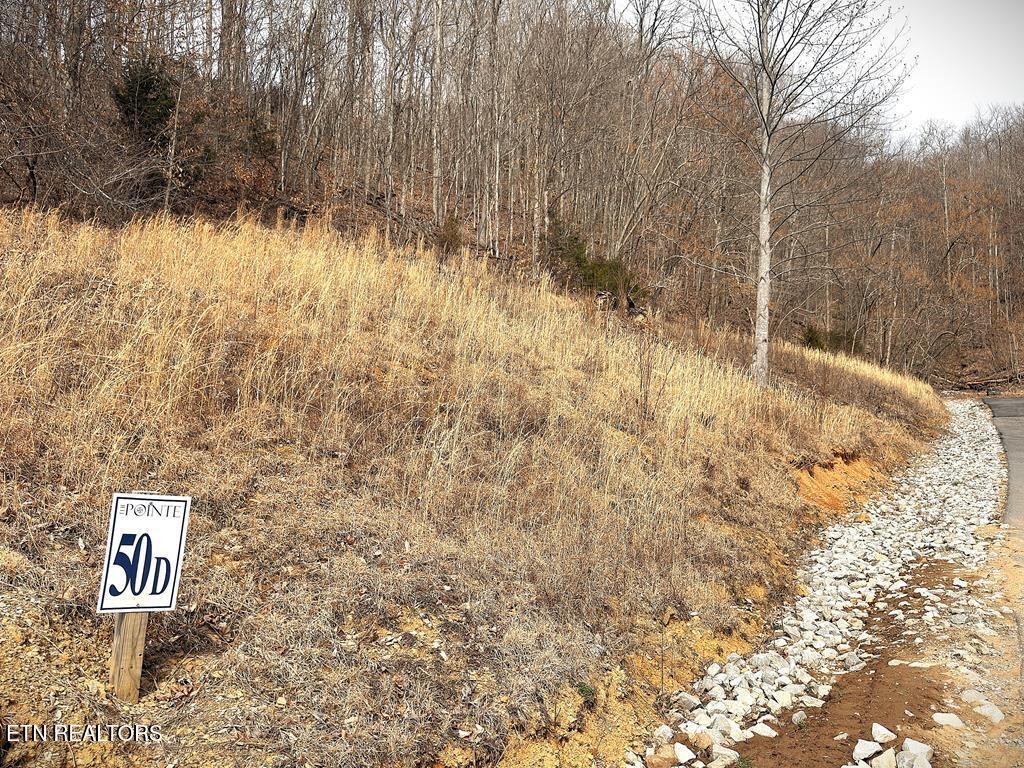 50 Crappie Lane Property Photo 4