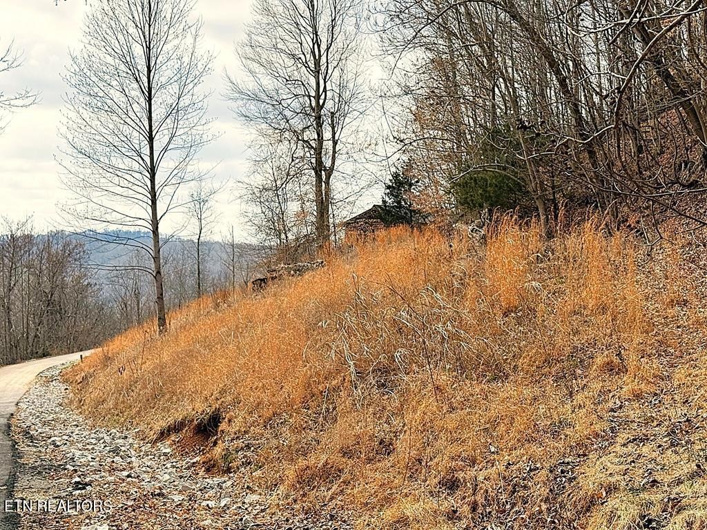 50 Crappie Lane Property Photo 5