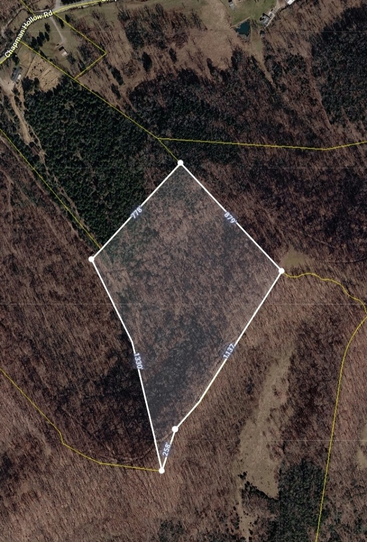 0 Chapman Hollow Rd Property Photo 1