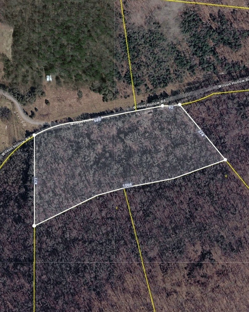 0 Wilson Hollow Rd Property Photo 1