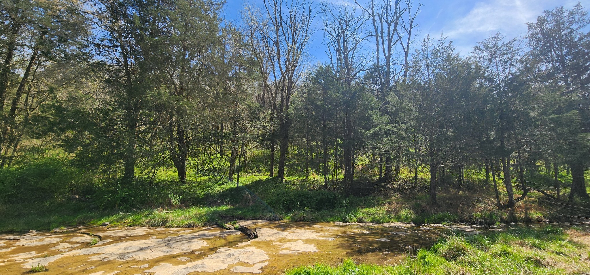 0 Wilson Hollow Rd Property Photo 2