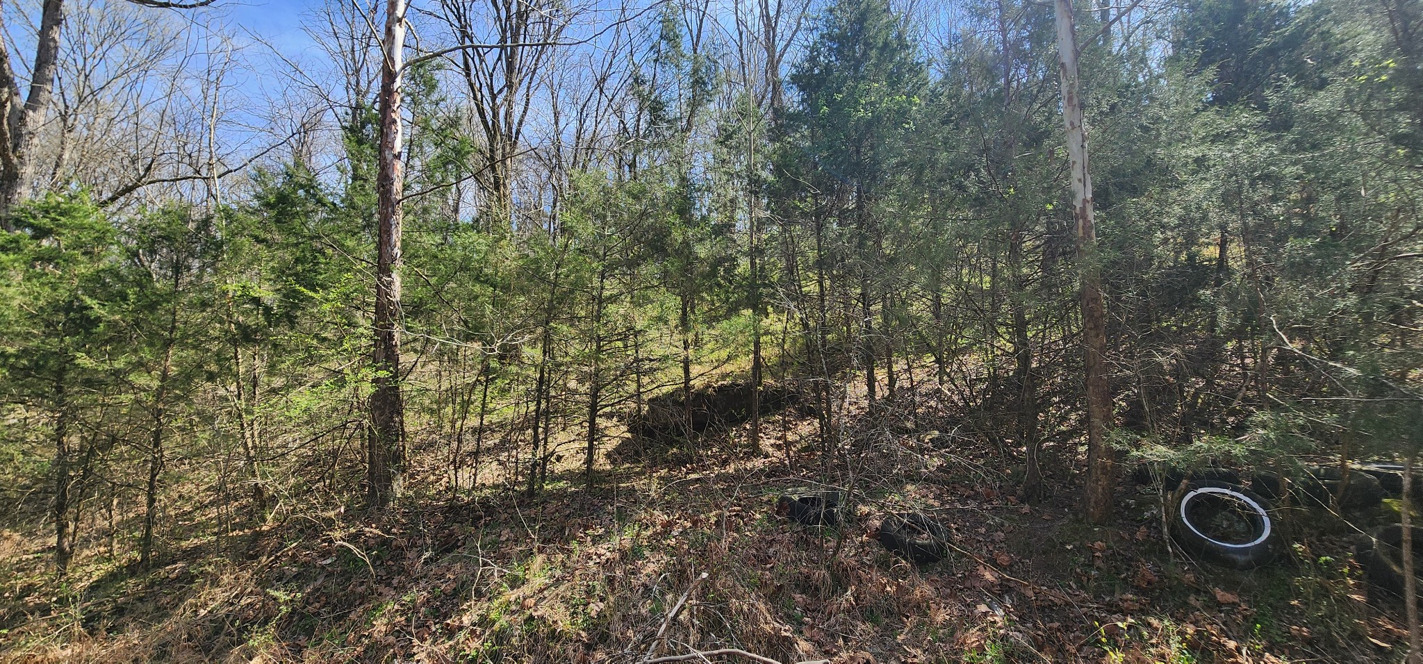 0 Wilson Hollow Rd Property Photo 5