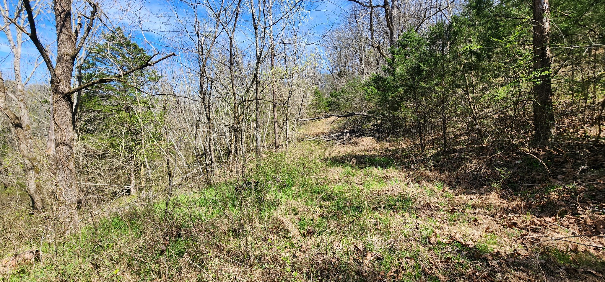 0 Wilson Hollow Rd Property Photo 6