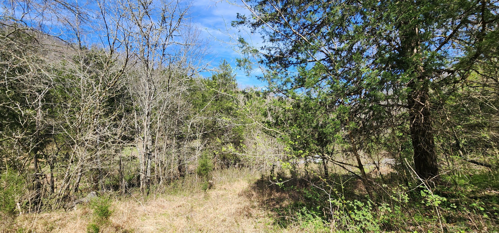 0 Wilson Hollow Rd Property Photo 8
