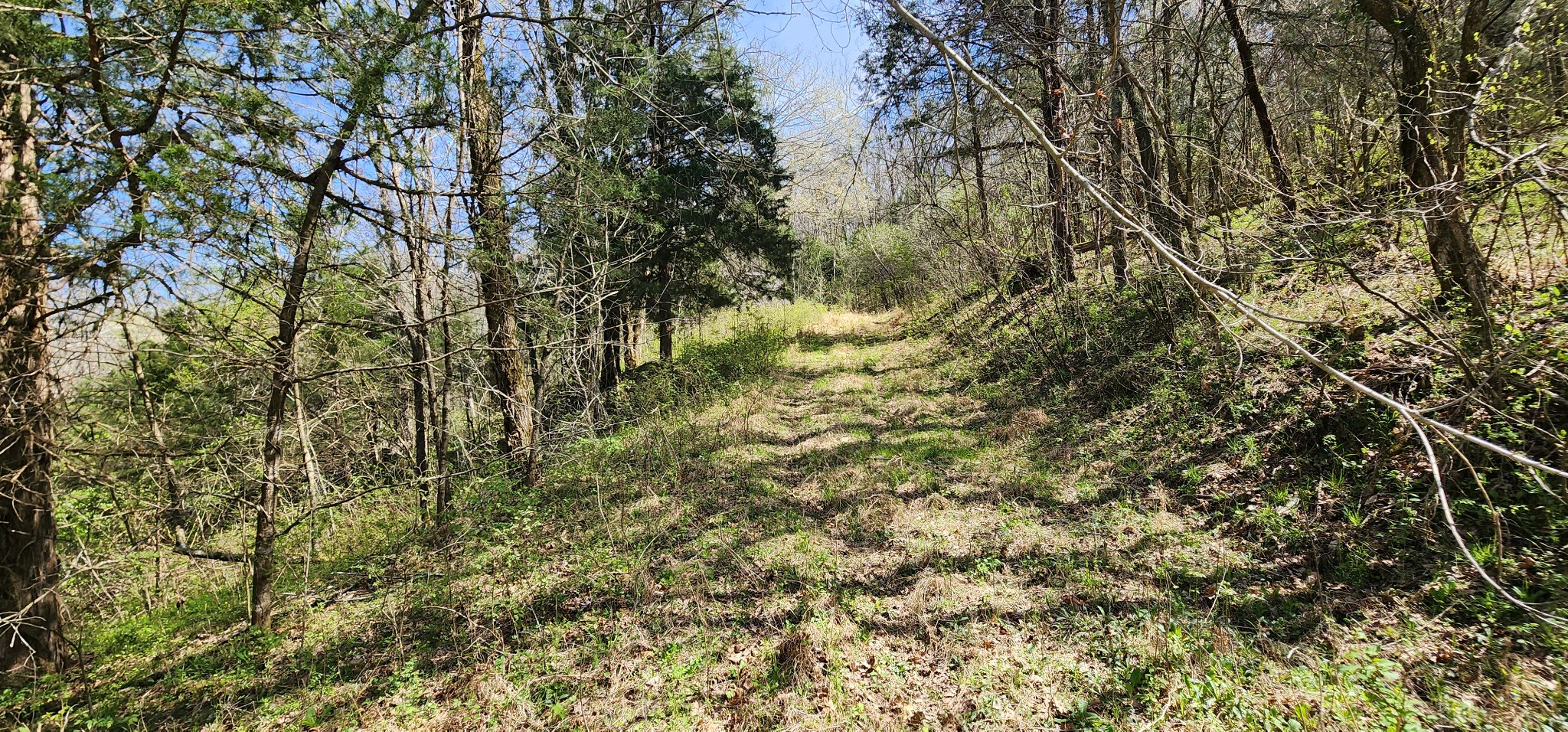0 Wilson Hollow Rd Property Photo 9