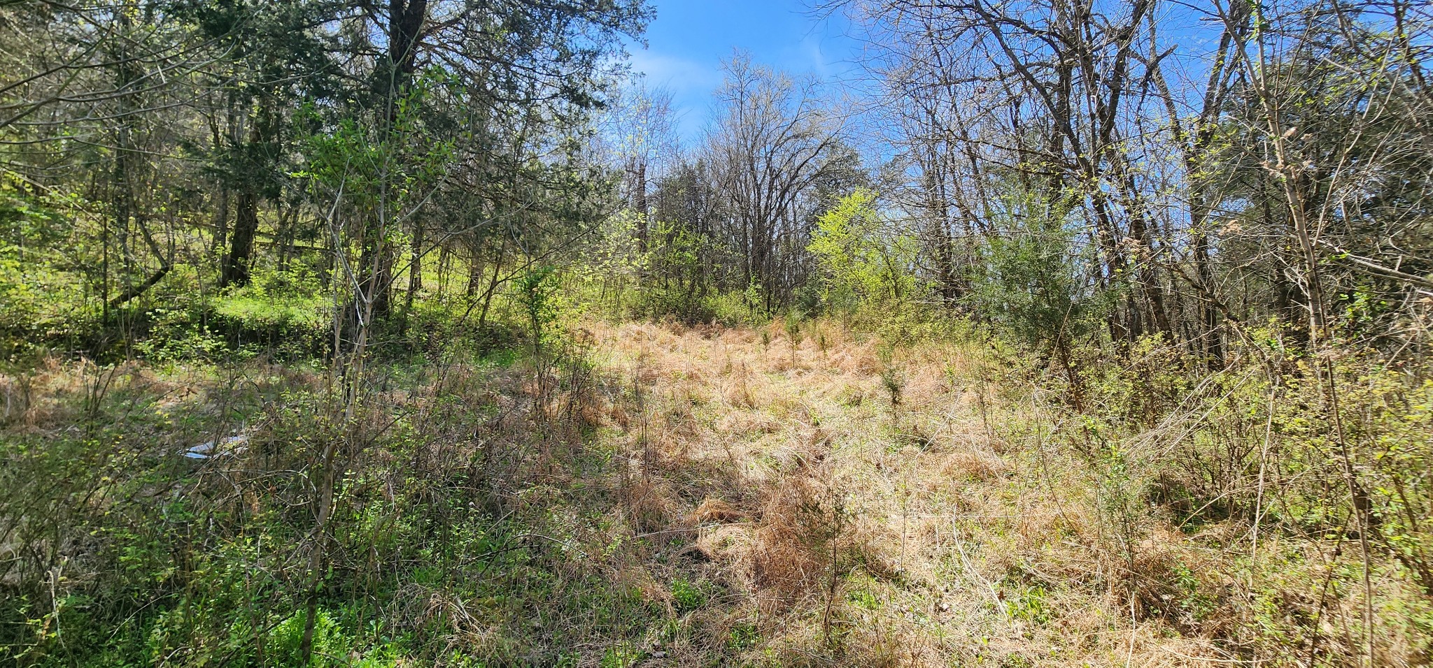 0 Wilson Hollow Rd Property Photo 10