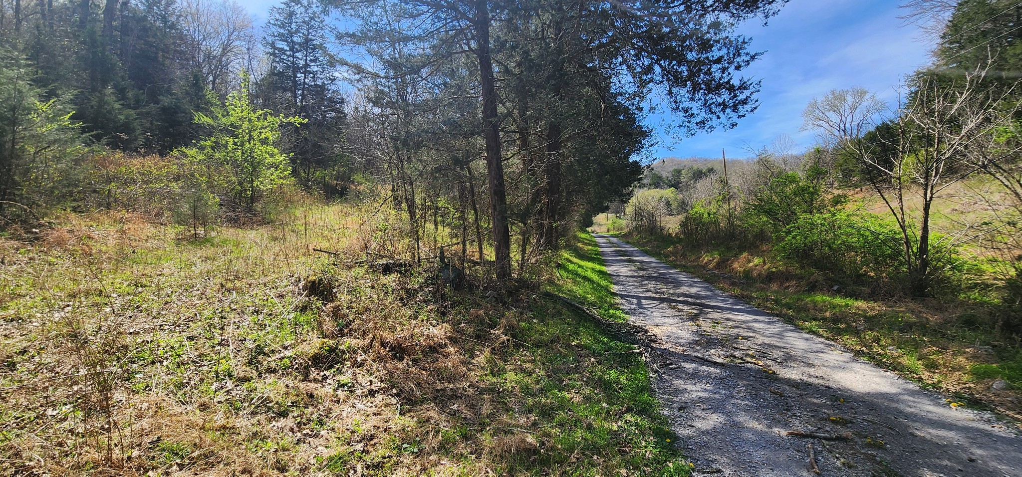 0 Wilson Hollow Rd Property Photo 11