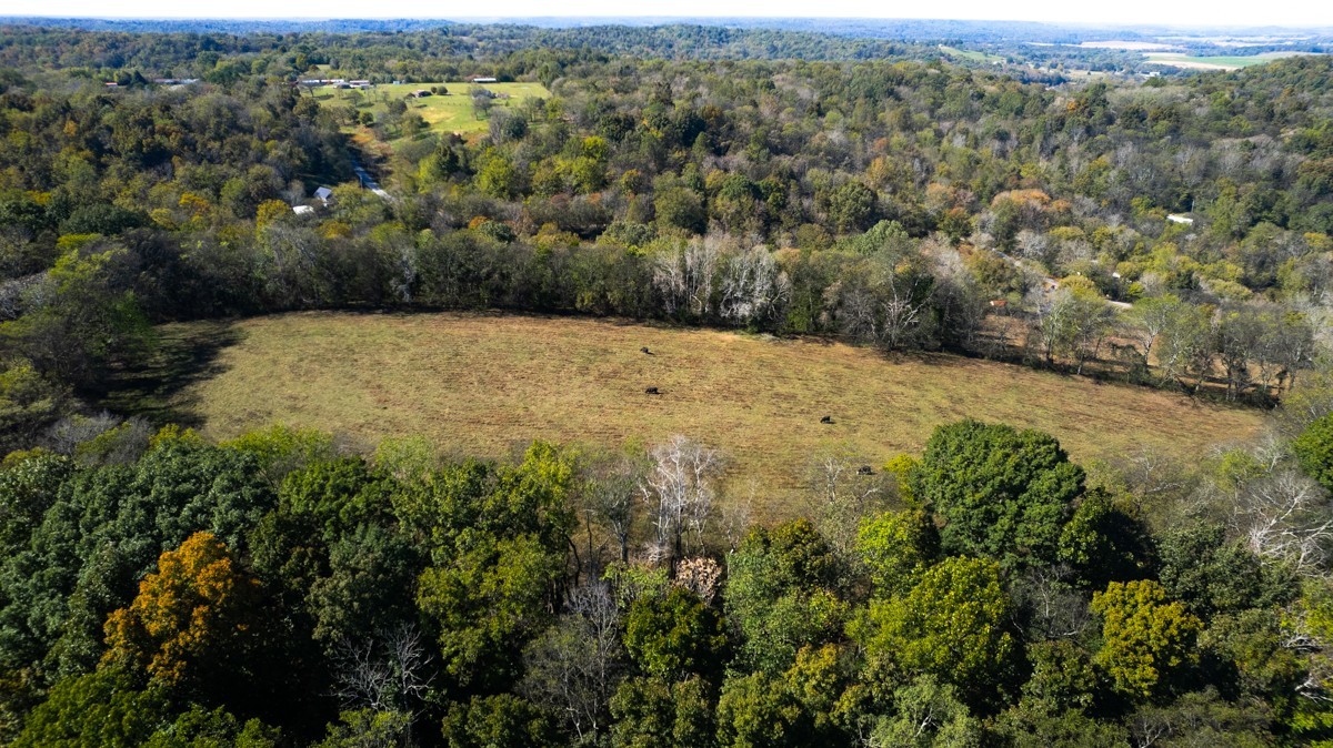 1121 Rolin Hollow Rd Property Photo 7