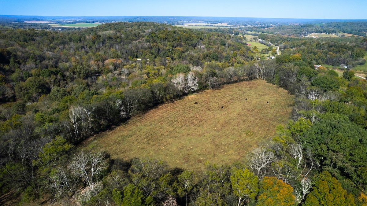 1121 Rolin Hollow Rd Property Photo 8