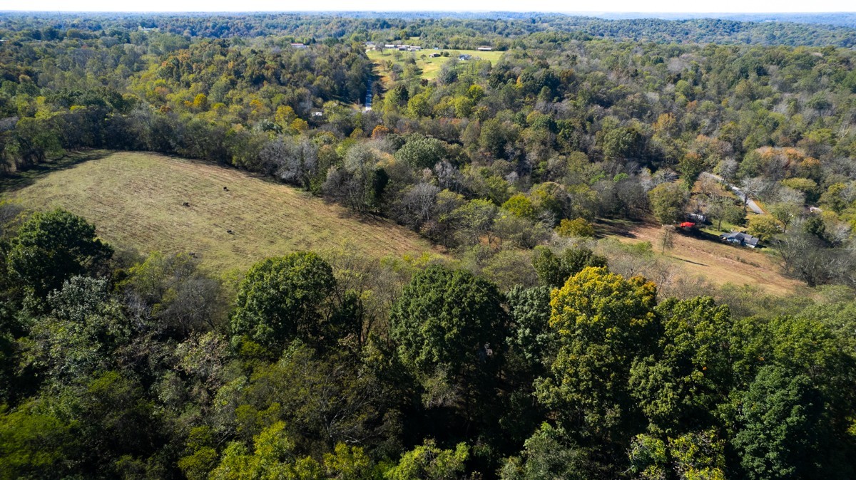 1121 Rolin Hollow Rd Property Photo 9