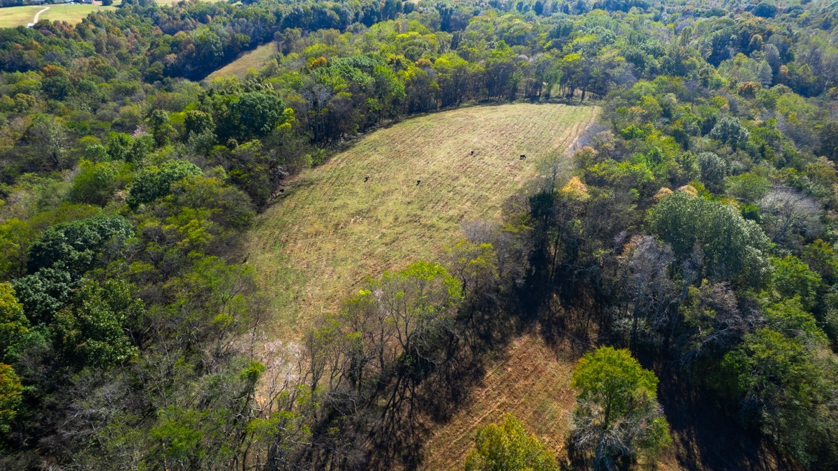 1121 Rolin Hollow Rd Property Photo 10