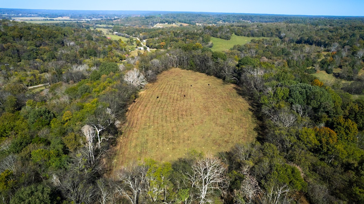 1121 Rolin Hollow Rd Property Photo 11