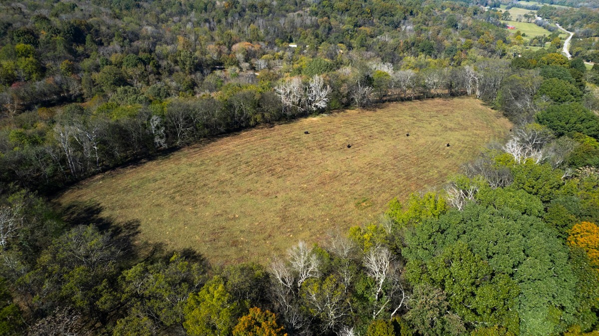 1121 Rolin Hollow Rd Property Photo 12