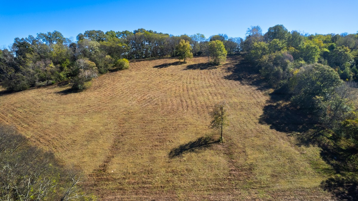 1121 Rolin Hollow Rd Property Photo 13