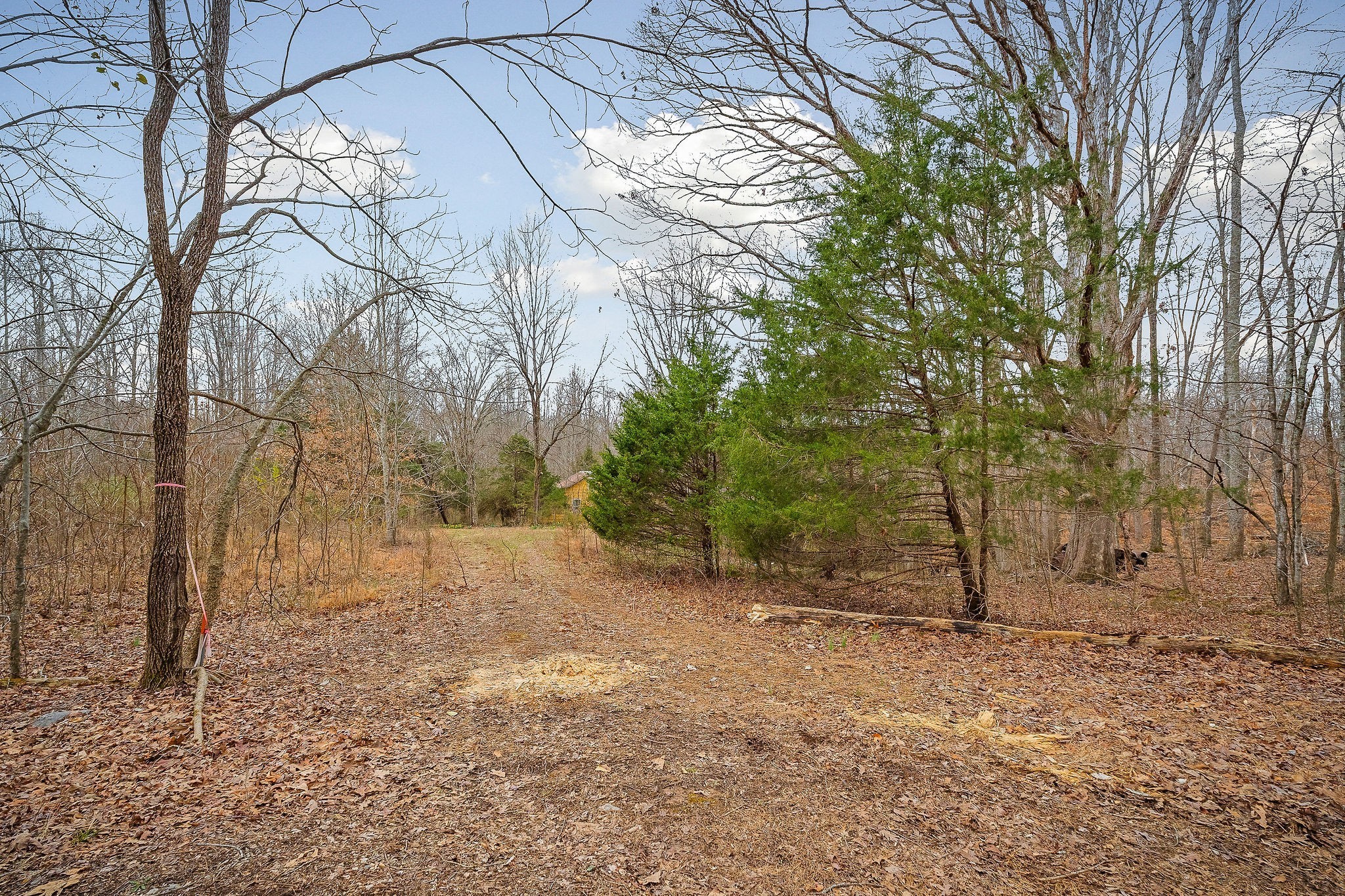 3944 Crawford Rd Property Photo 5