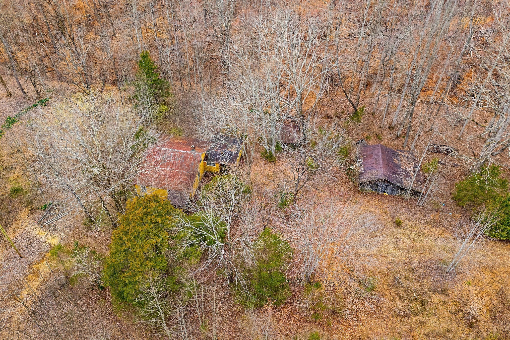3944 Crawford Rd Property Photo 11
