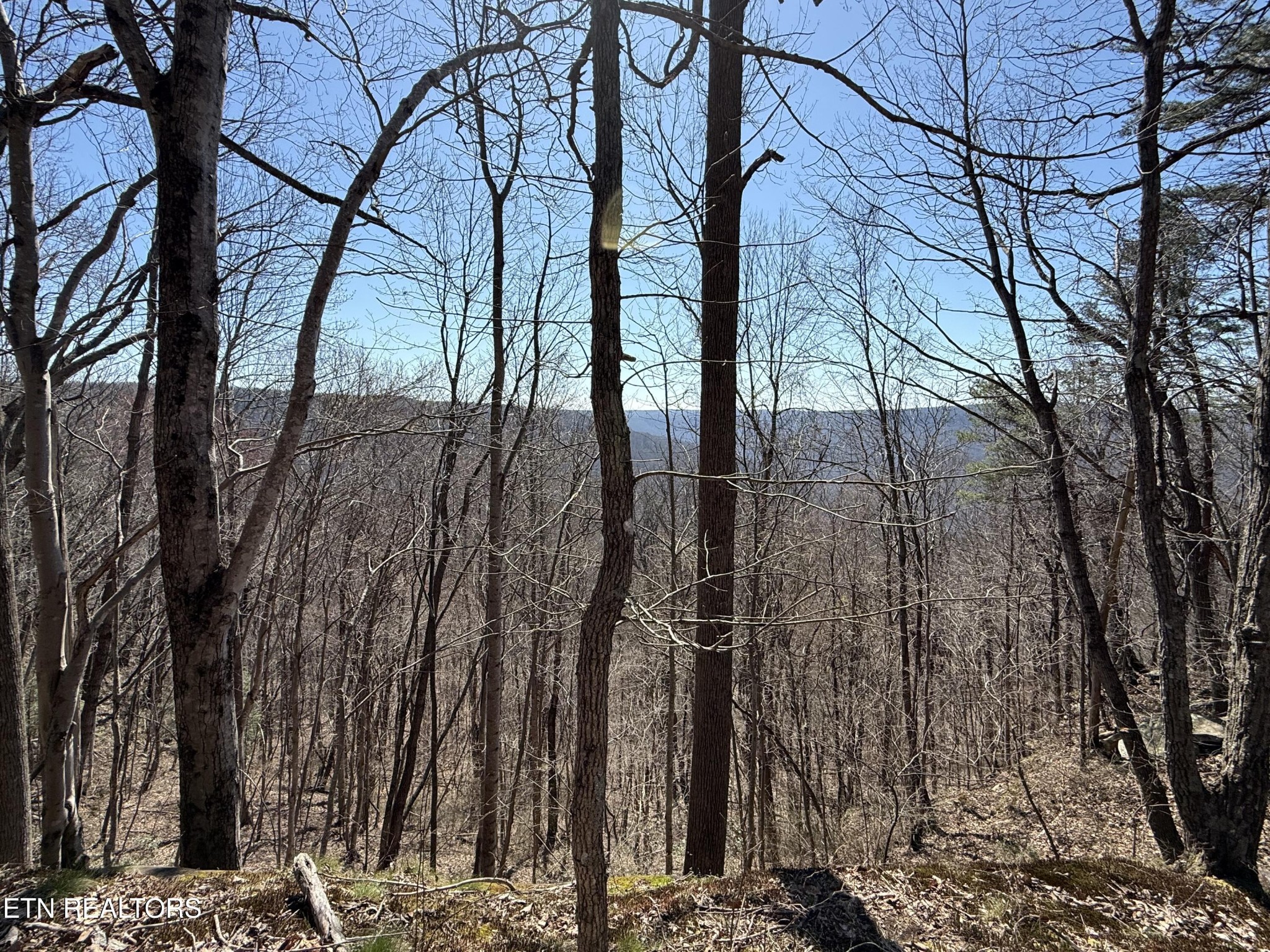 0 Cumberland Cove Rd Property Photo 1