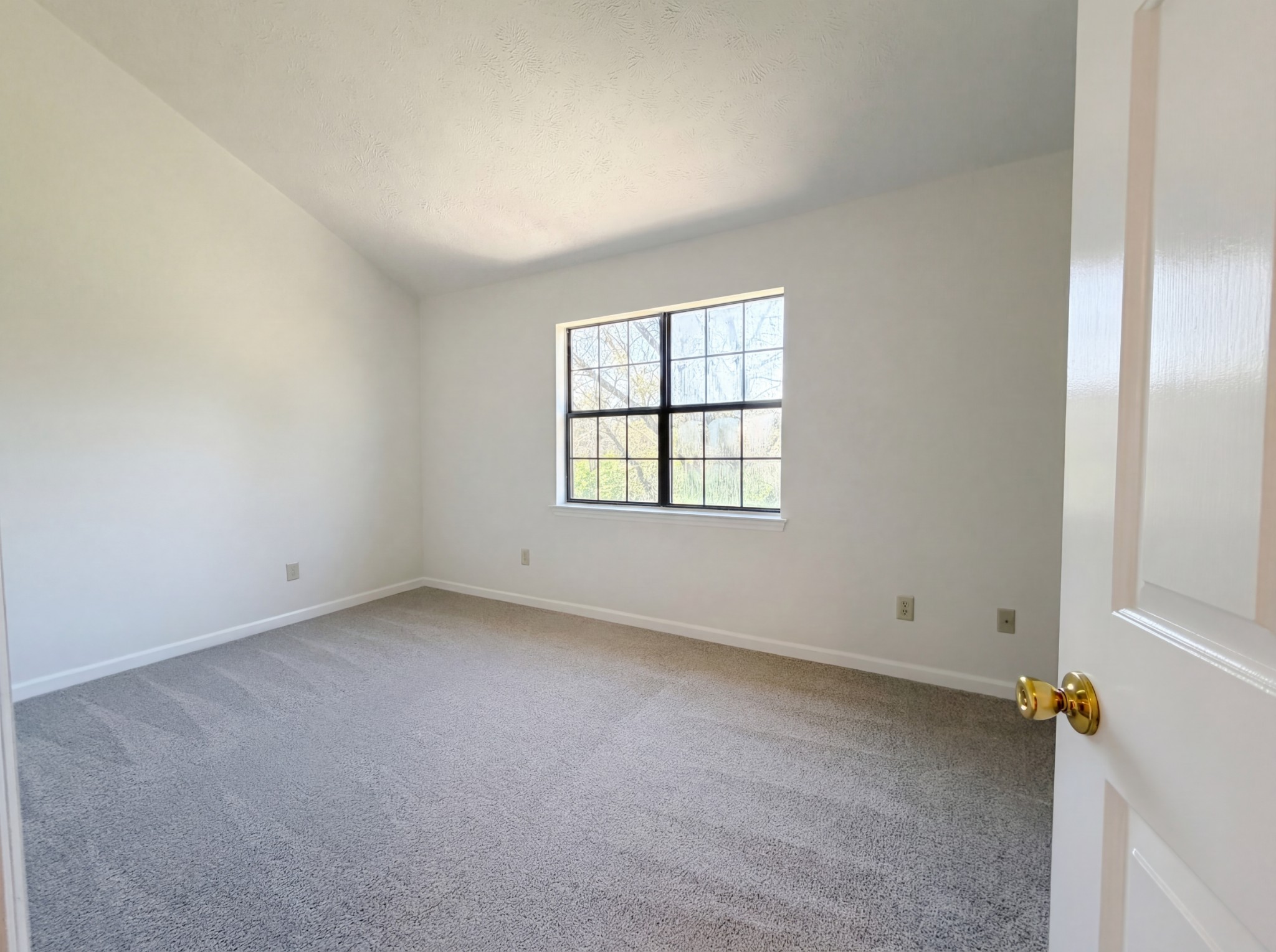 211 Thistle Ln Property Photo 9