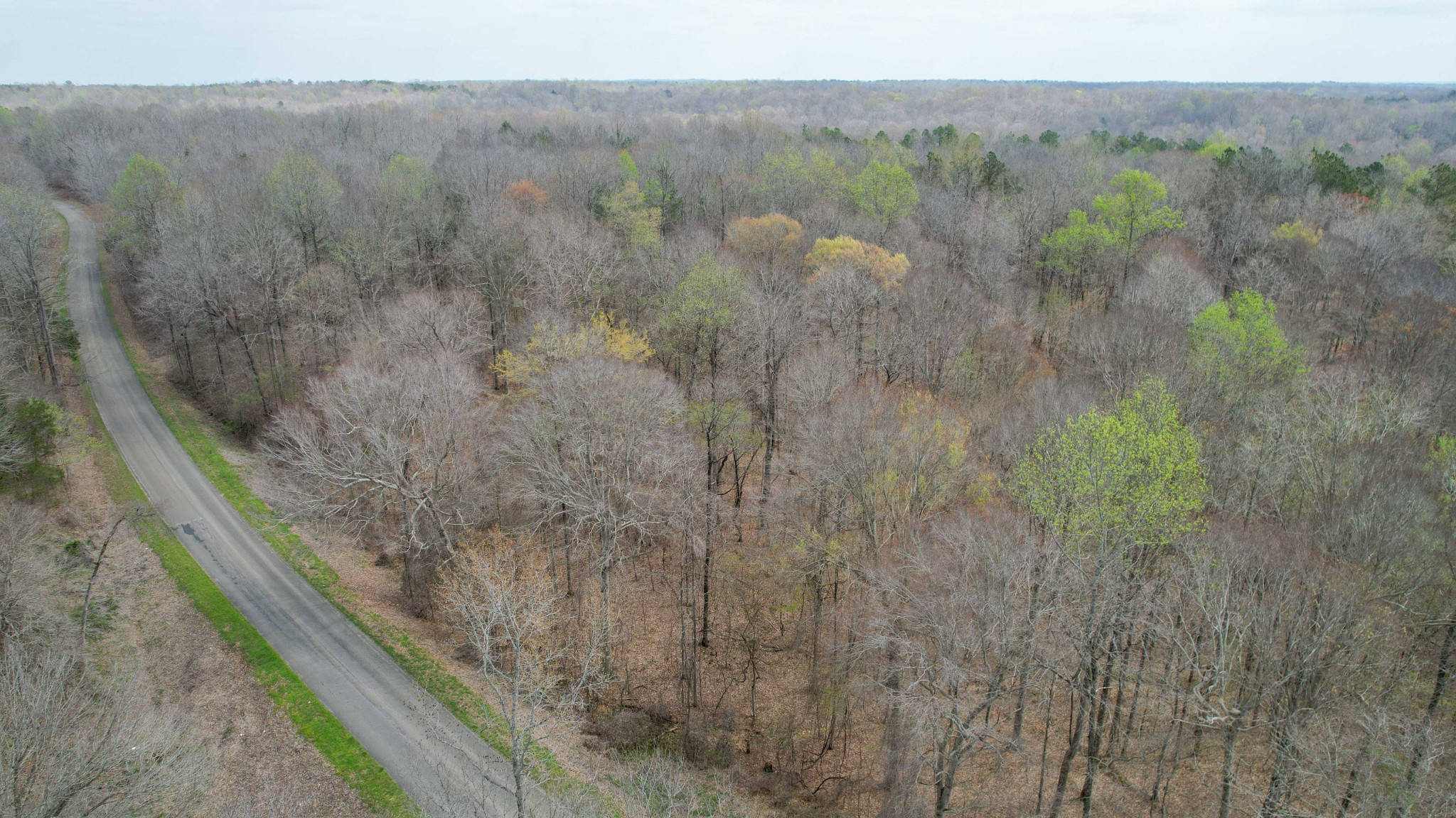 0 Holladay Road Property Photo 1