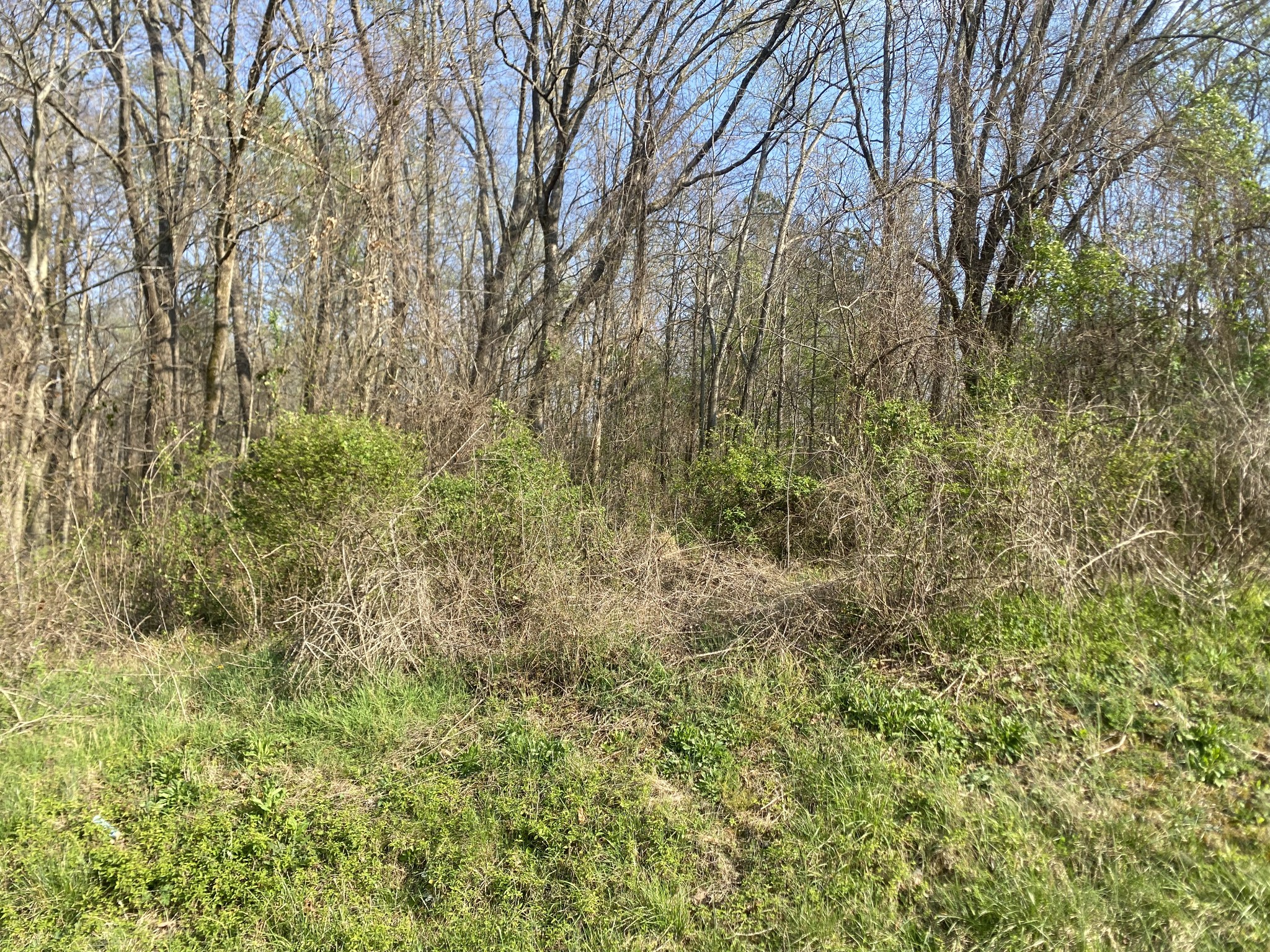 0 Mountain View Drive Property Photo 1