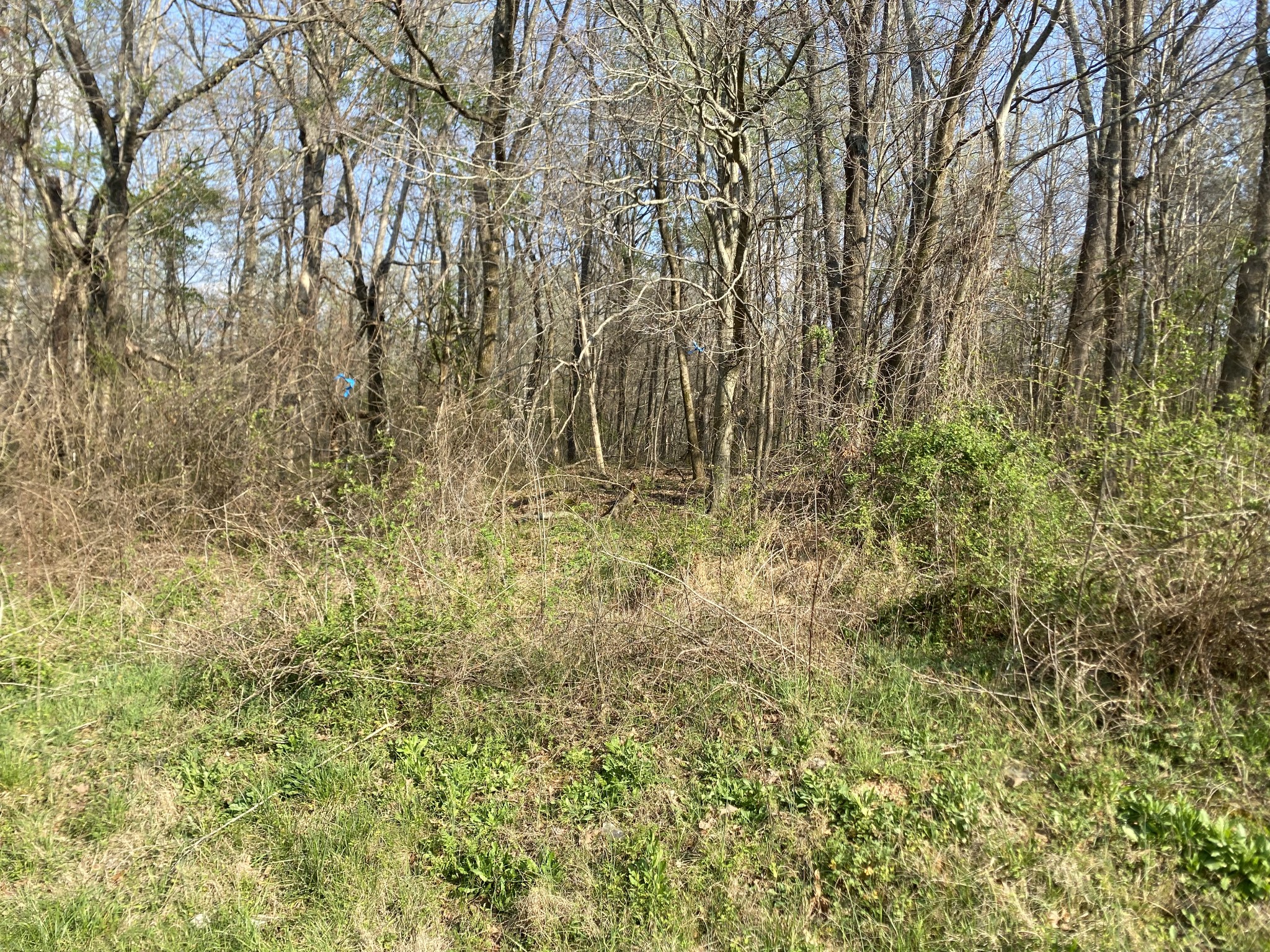 0 Mountain View Drive Property Photo 8
