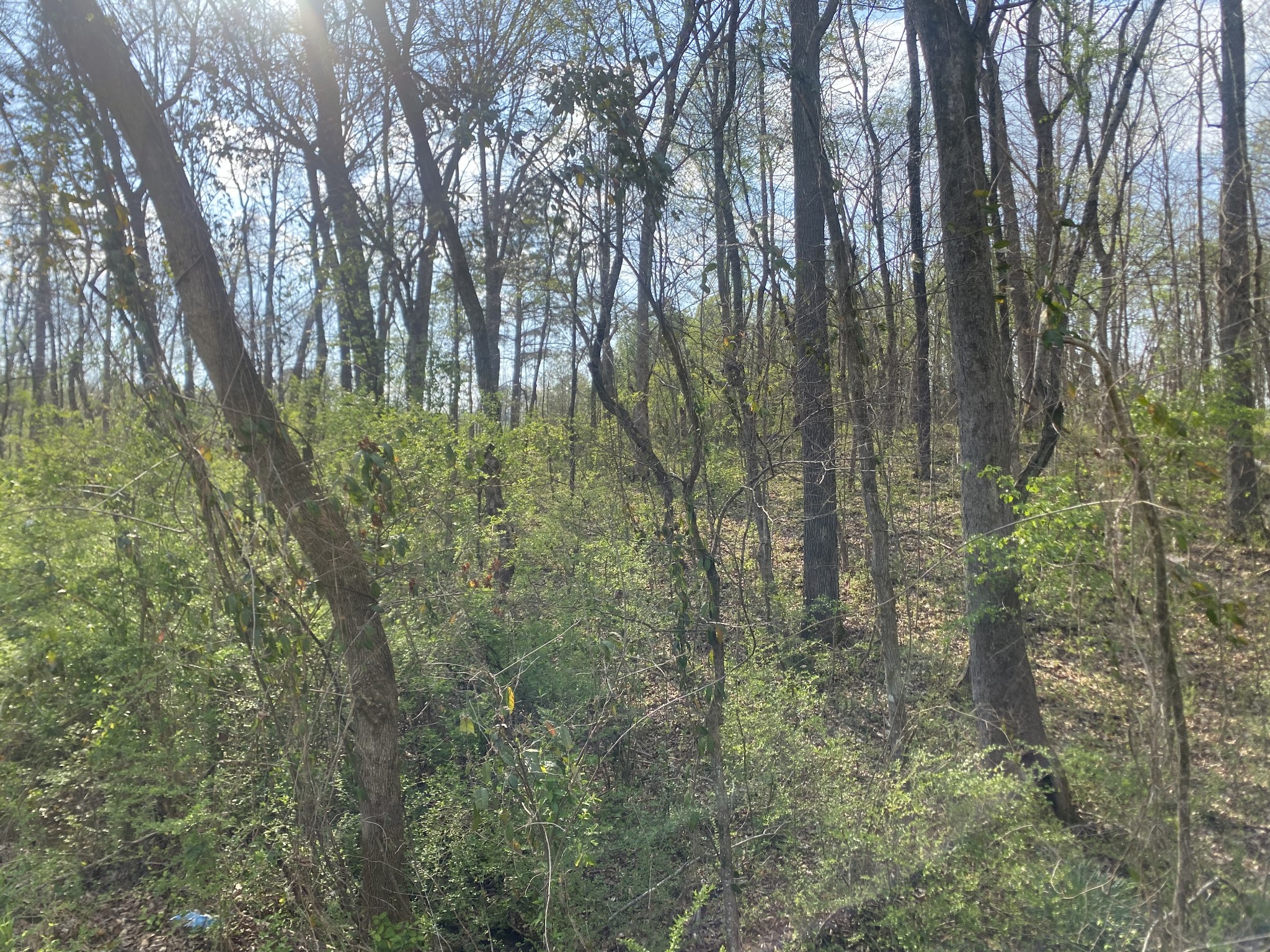 0 Mountain View Drive Property Photo 10