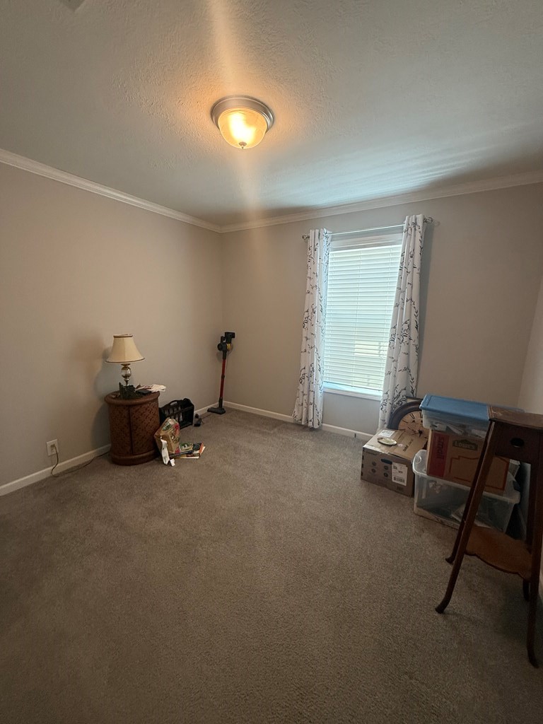 106 Fox Squirrel Dr Property Photo 8