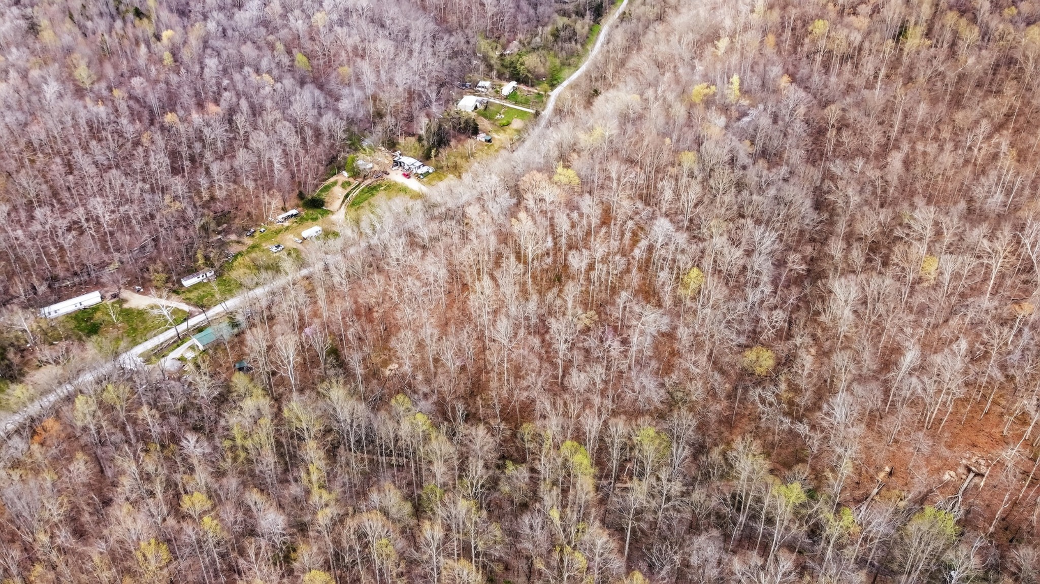 0 Phillips Hollow Rd Property Photo 5