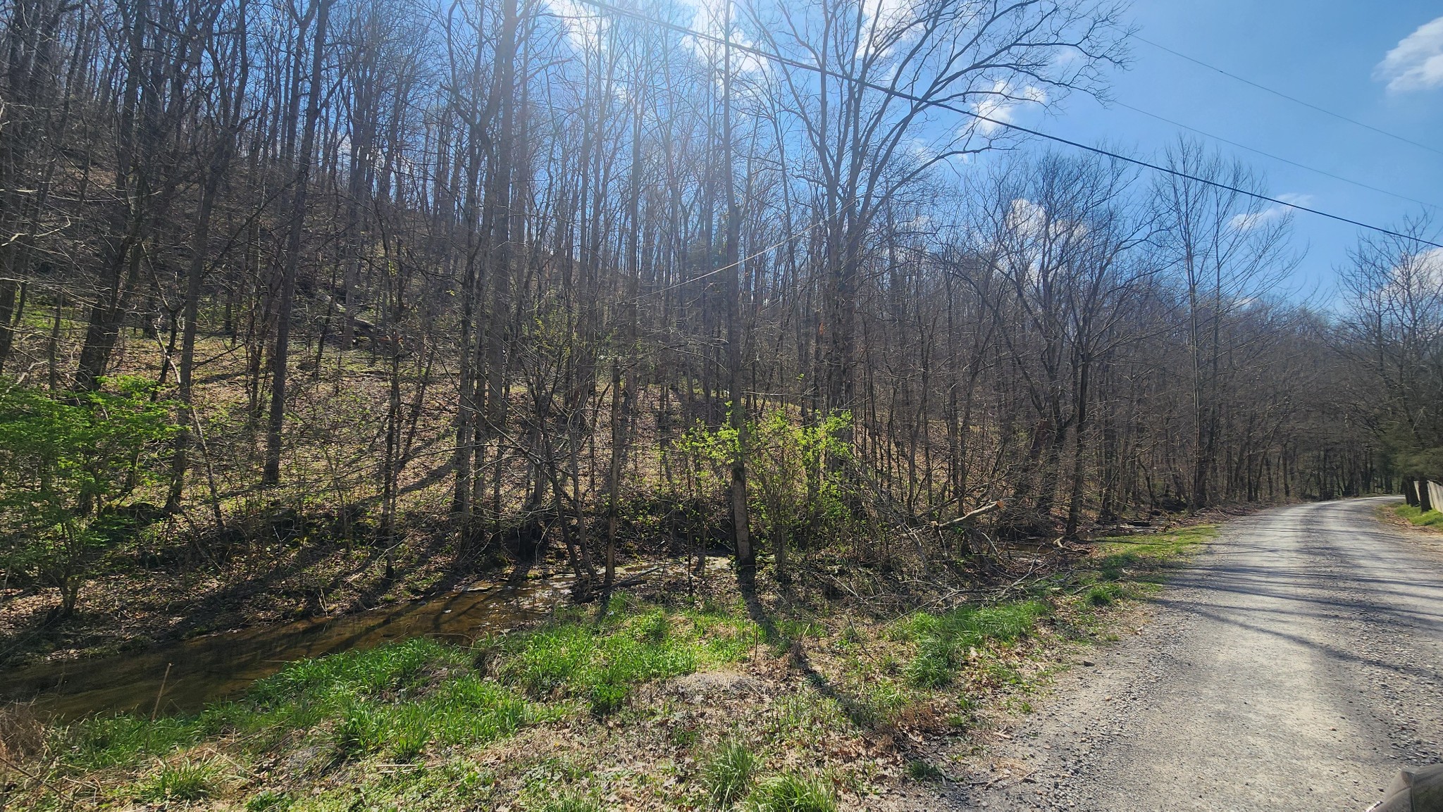 0 Phillips Hollow Rd Property Photo 14