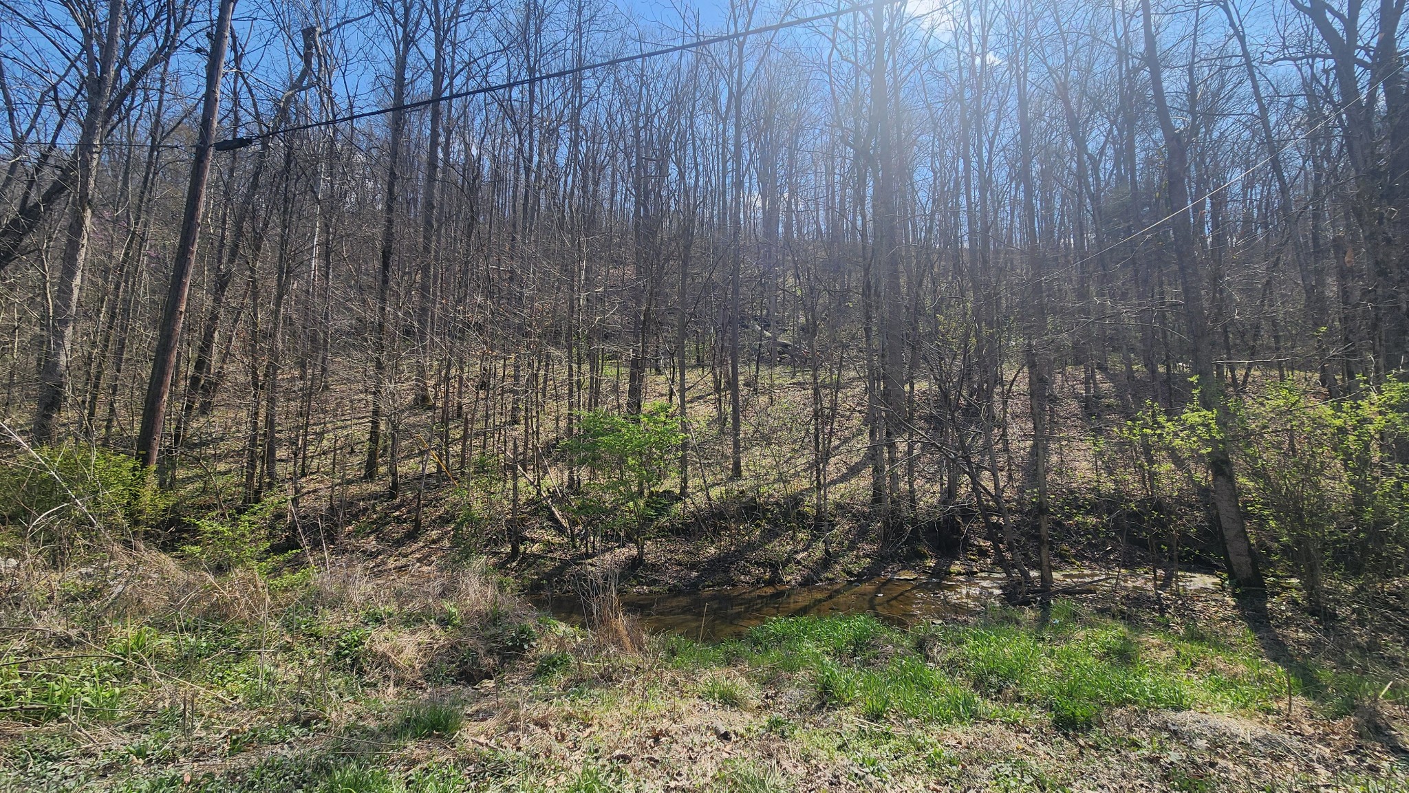 0 Phillips Hollow Rd Property Photo 15
