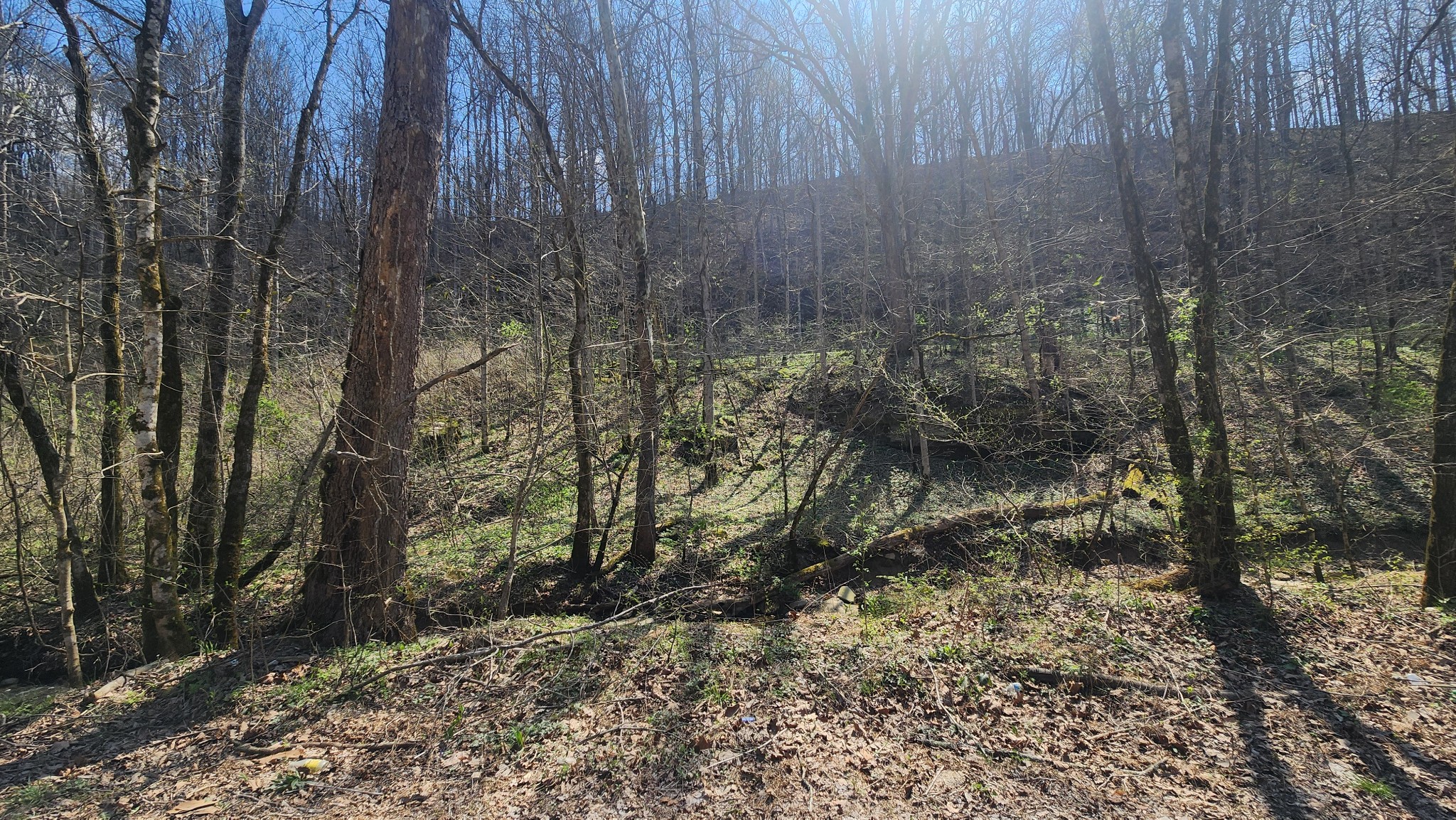 0 Phillips Hollow Rd Property Photo 16