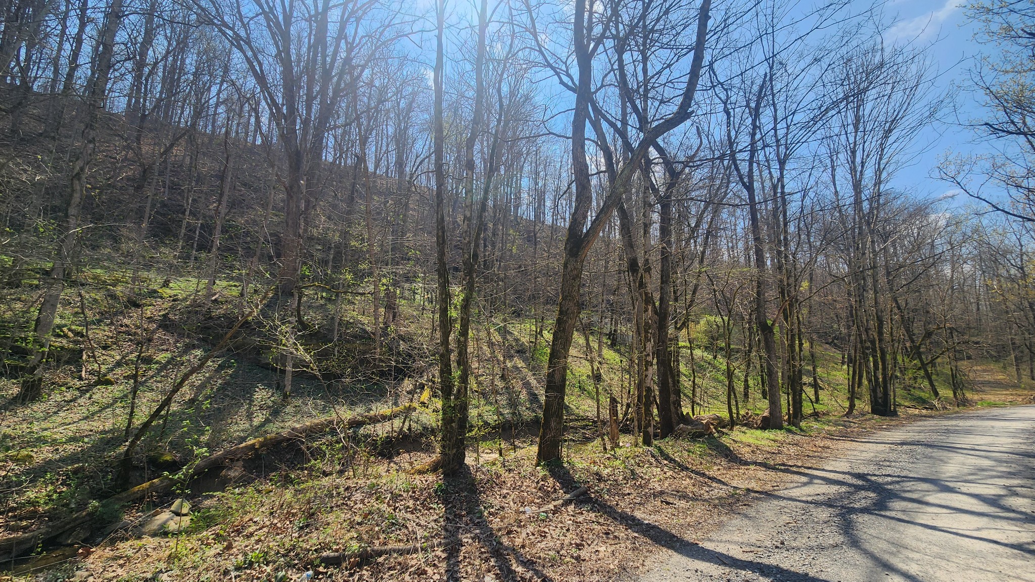 0 Phillips Hollow Rd Property Photo 17