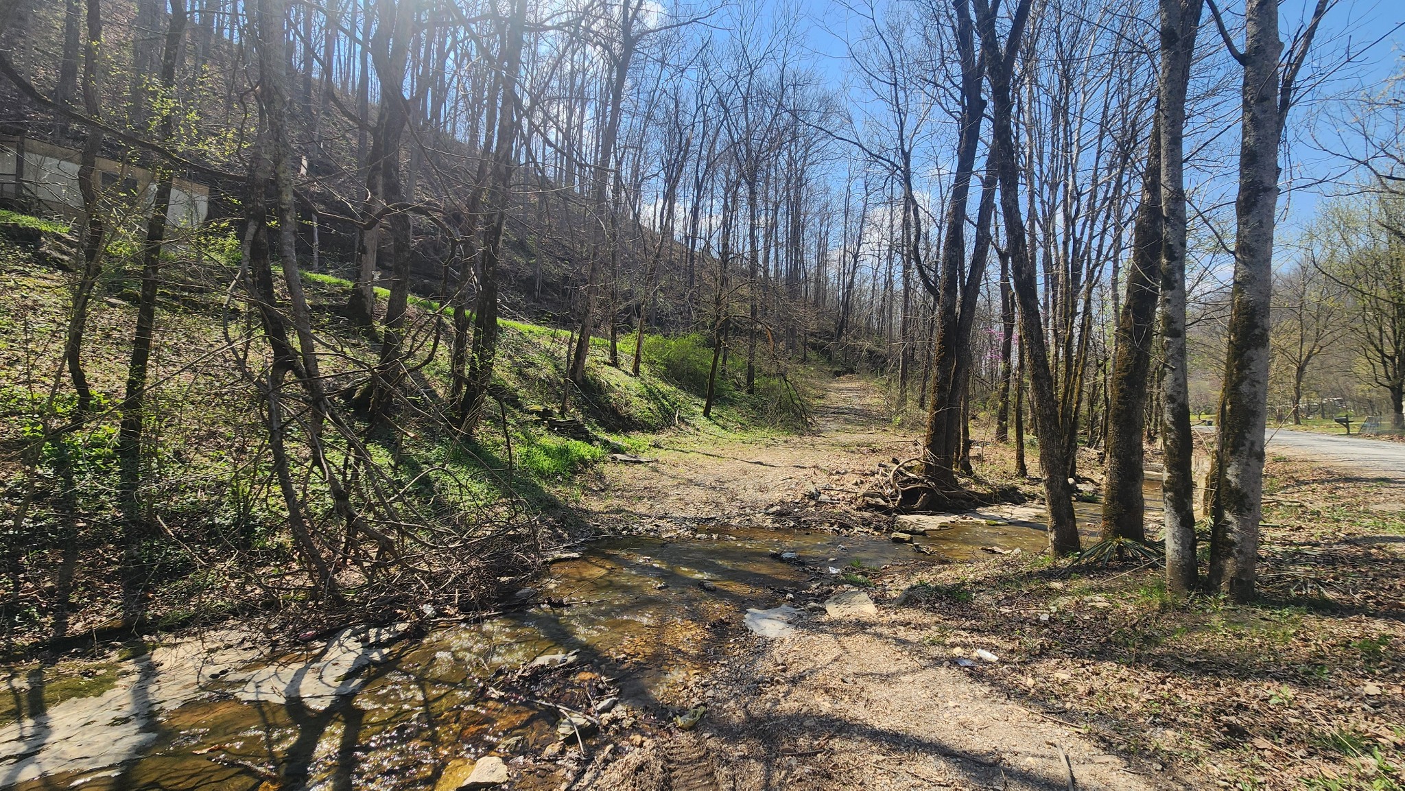 0 Phillips Hollow Rd Property Photo 18