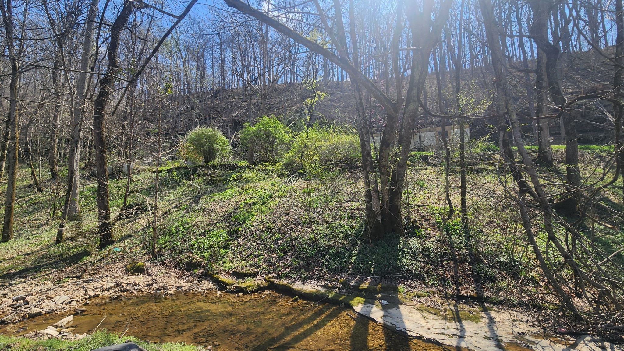 0 Phillips Hollow Rd Property Photo 19
