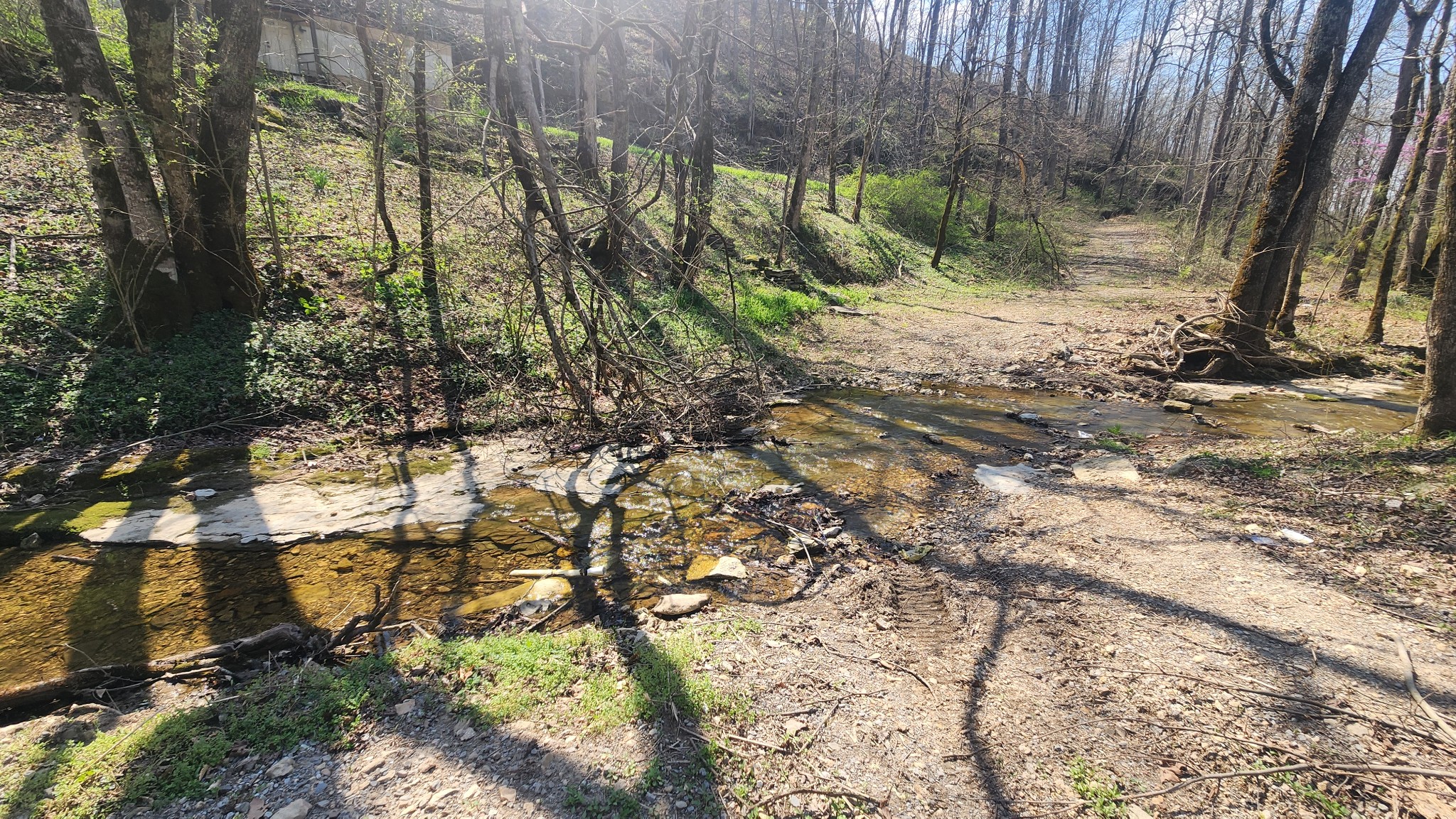 0 Phillips Hollow Rd Property Photo 21