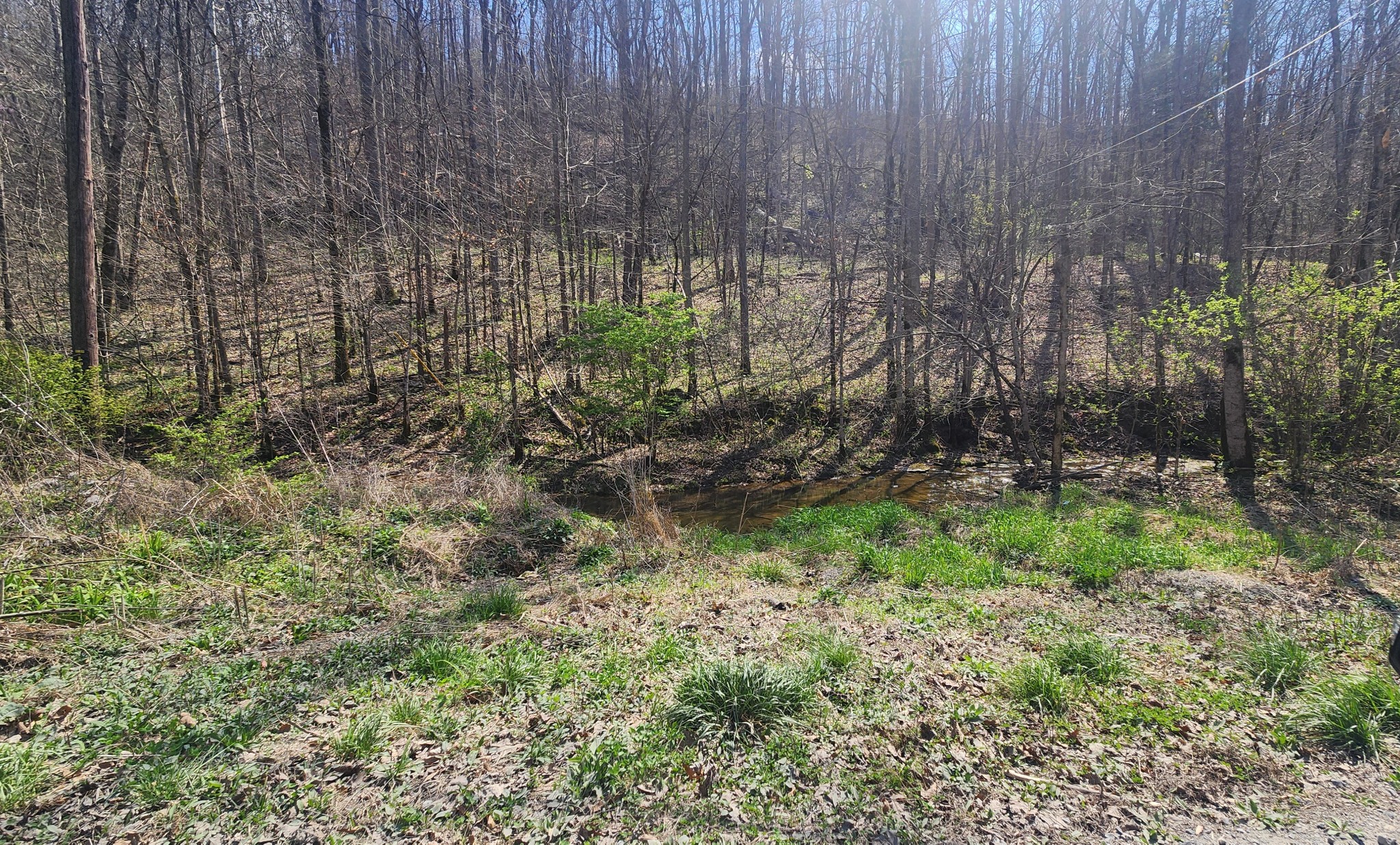 0 Phillips Hollow Rd Property Photo 24