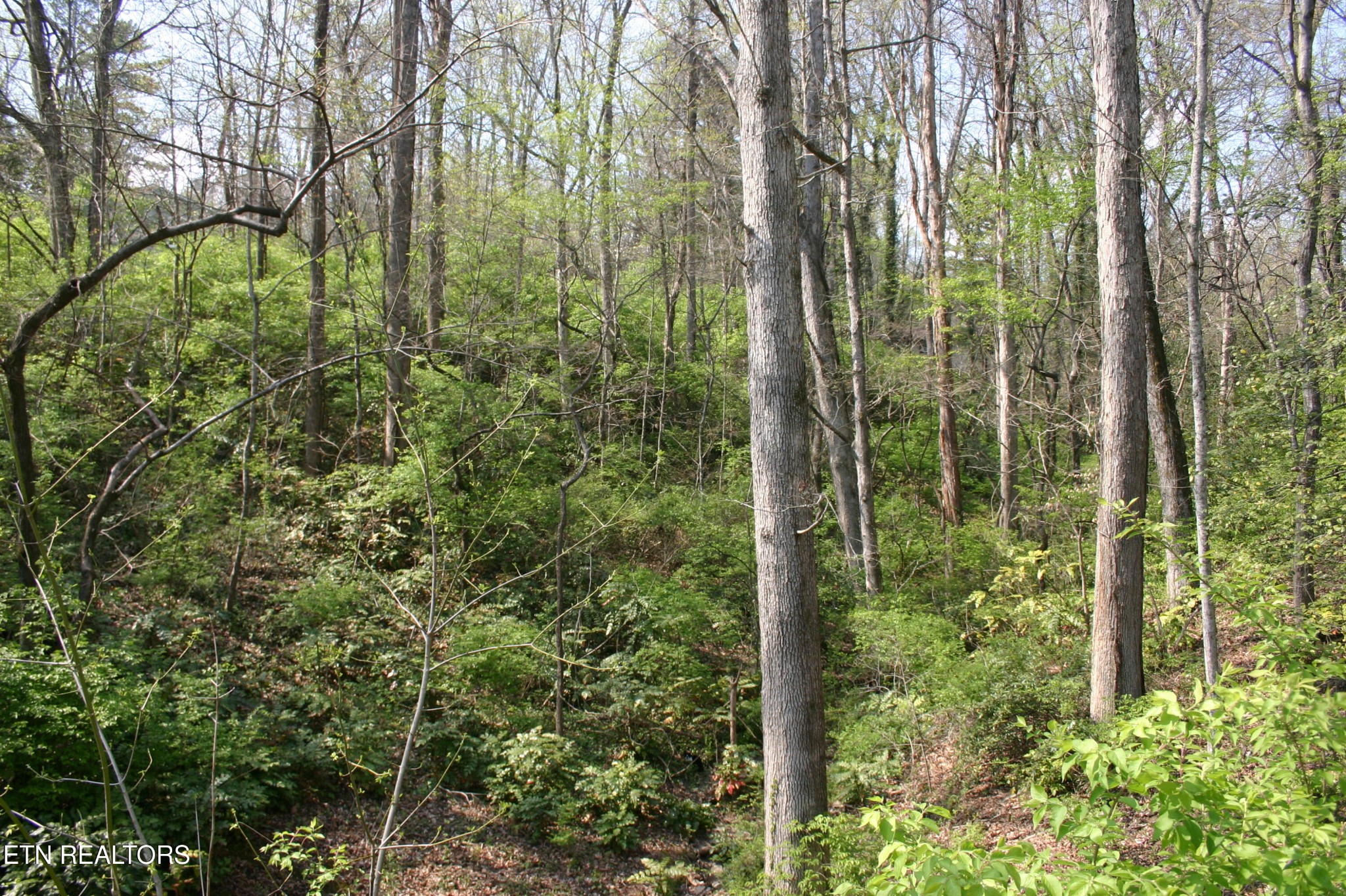 12 Vanhorn Rd Property Photo 1