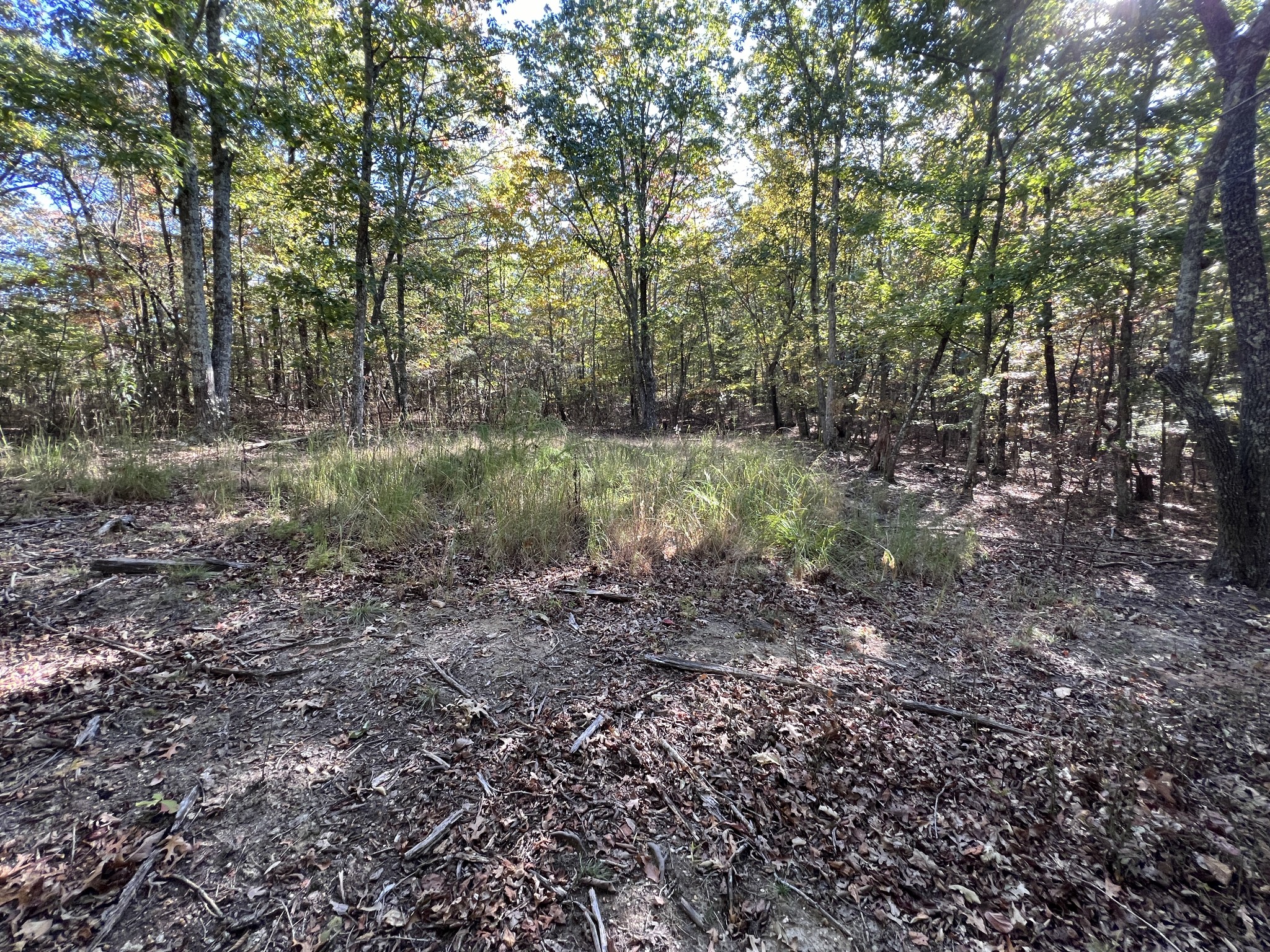 0 Cooleys Rift Blvd Property Photo 16