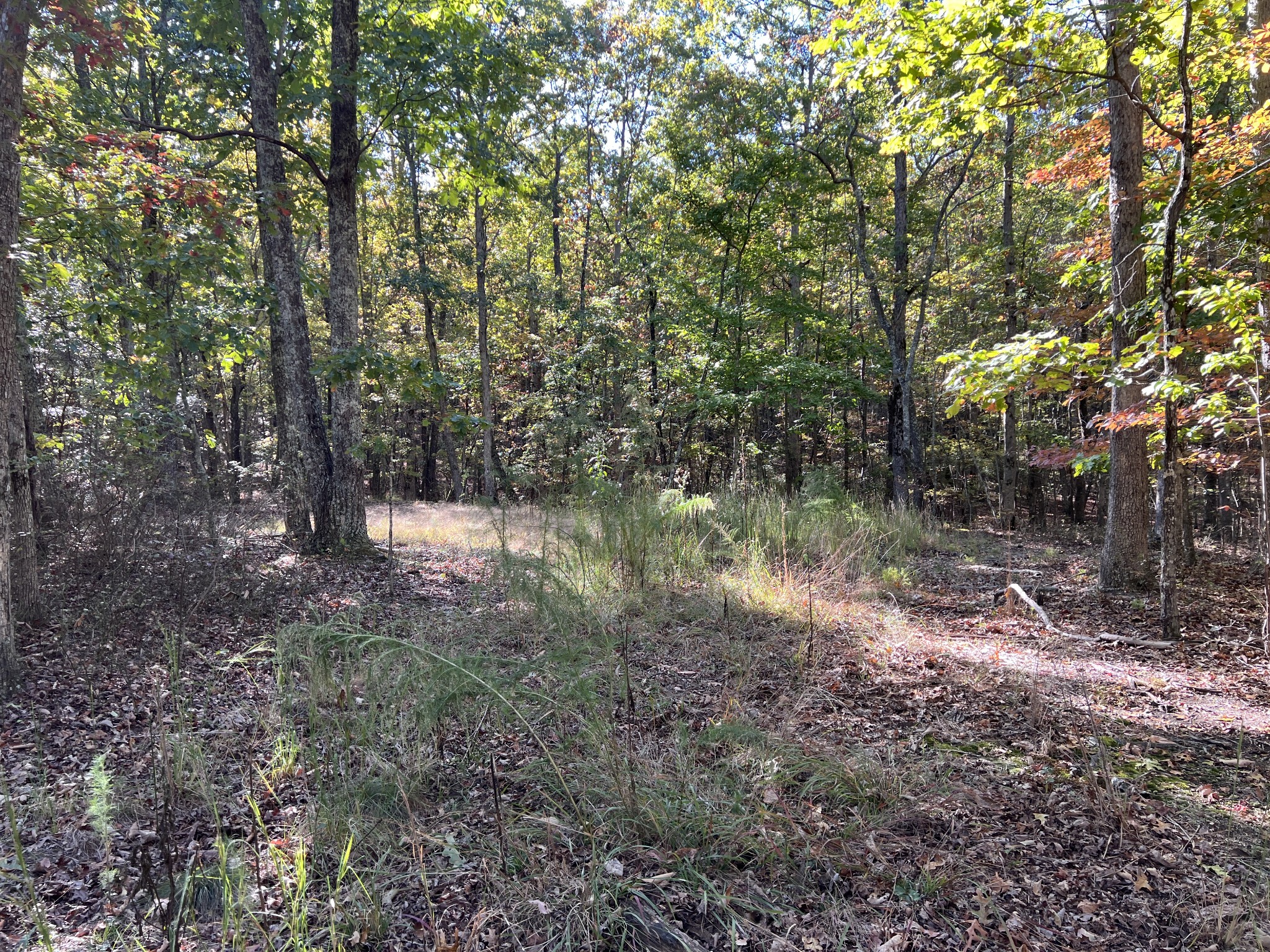 0 Cooleys Rift Blvd Property Photo 17