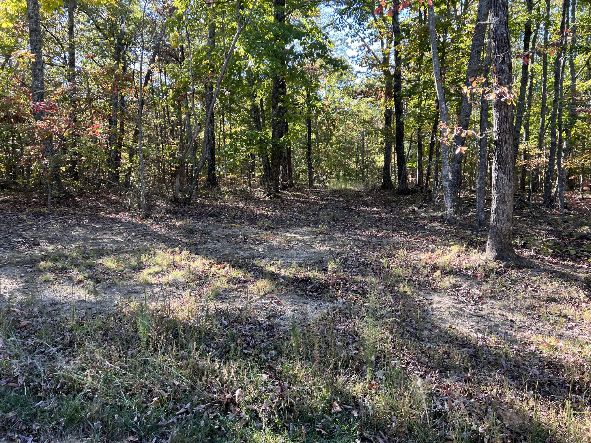 0 Cooleys Rift Blvd Property Photo 19