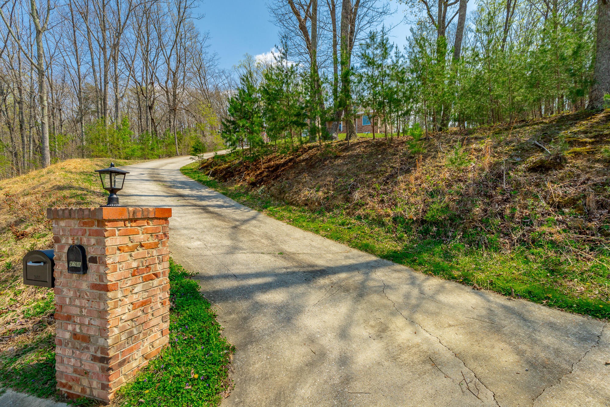 9768 Caseview Drive Property Photo 8