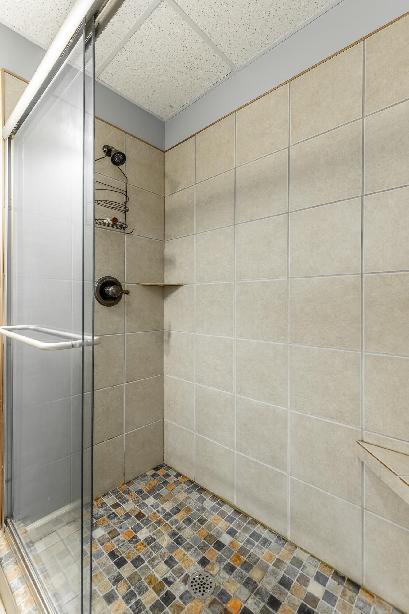 9768 Caseview Drive Property Photo 74