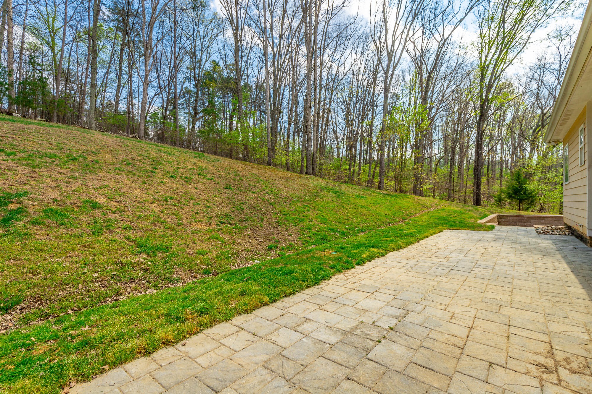 9768 Caseview Drive Property Photo 79