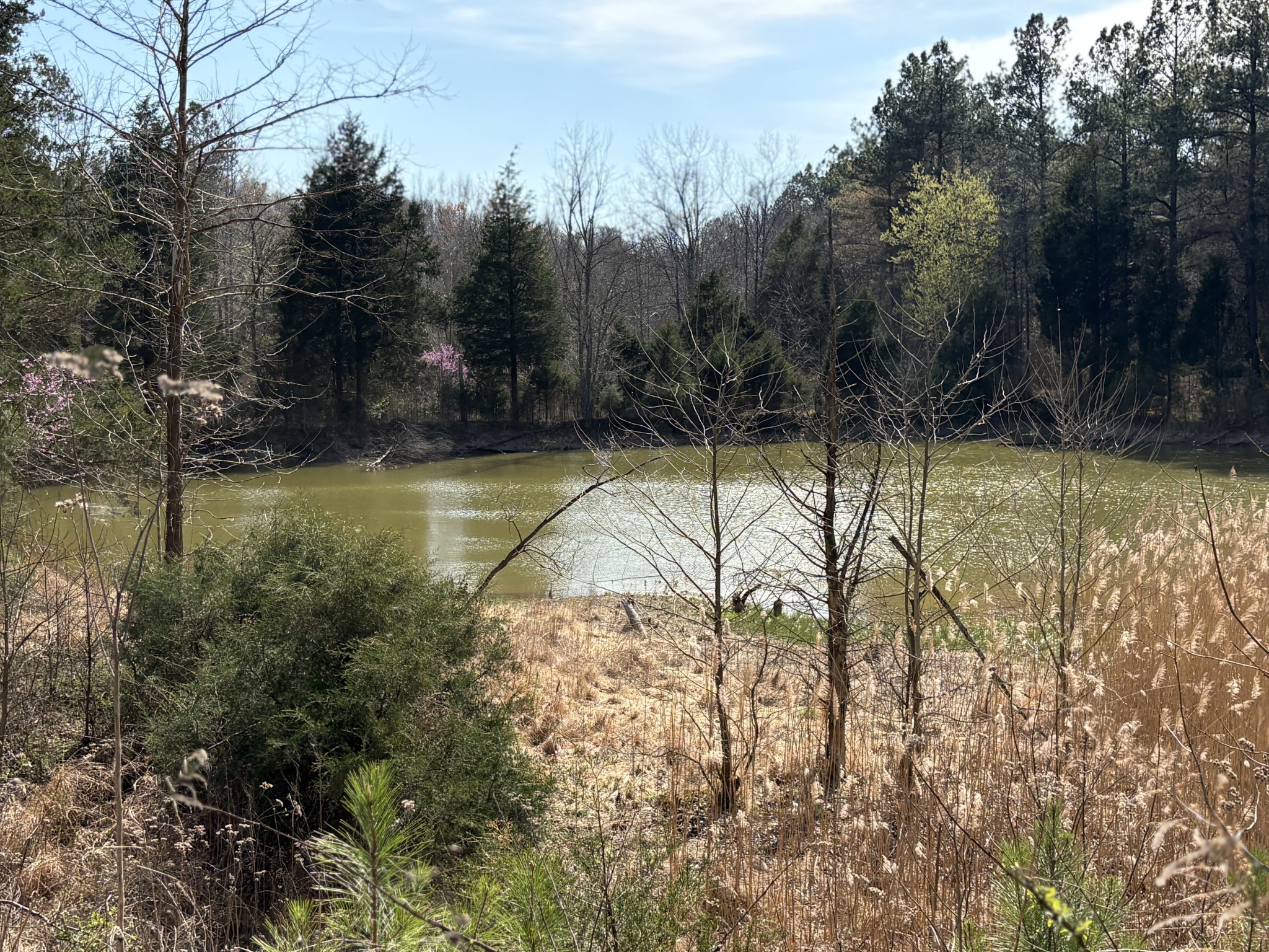 1000 State Route 831 Property Photo 1