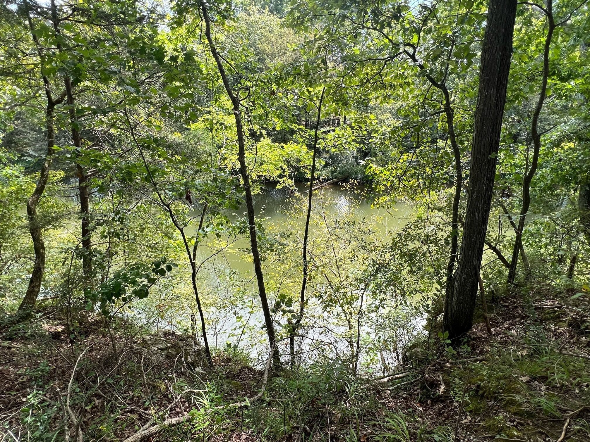 0 Hidden River Rd