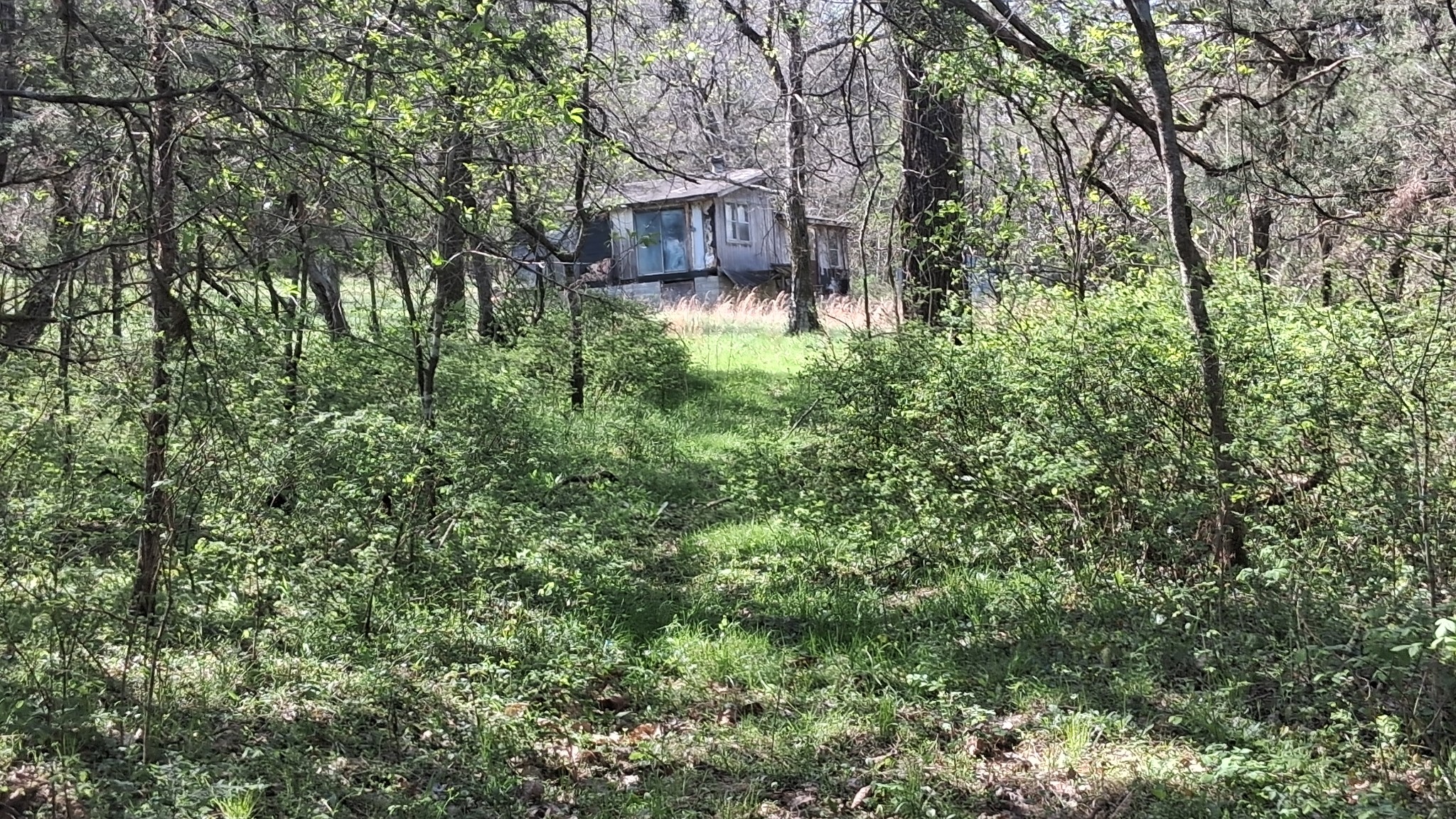2431 Williams Rd Property Photo 1