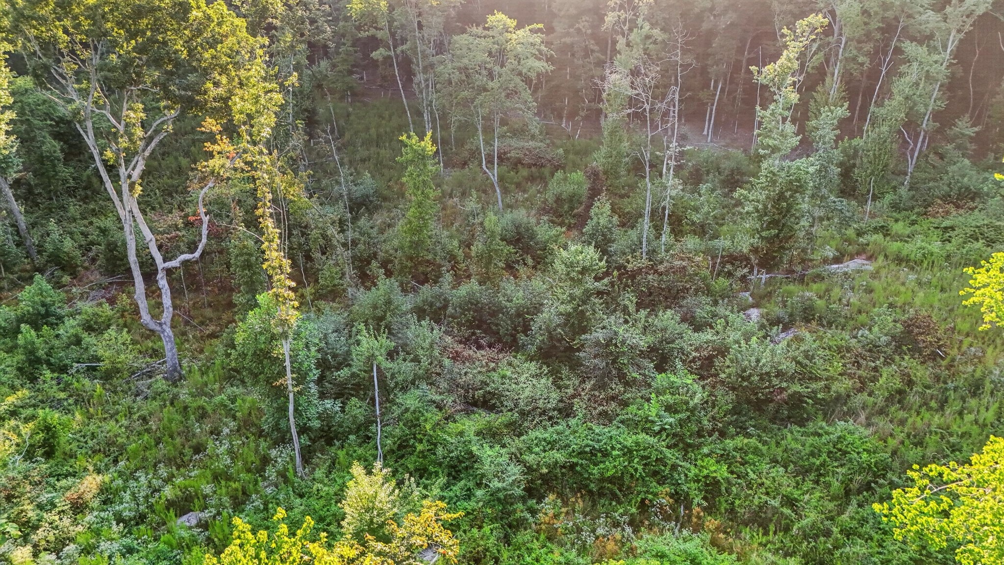 0 Jackson Point Rd Property Photo 21