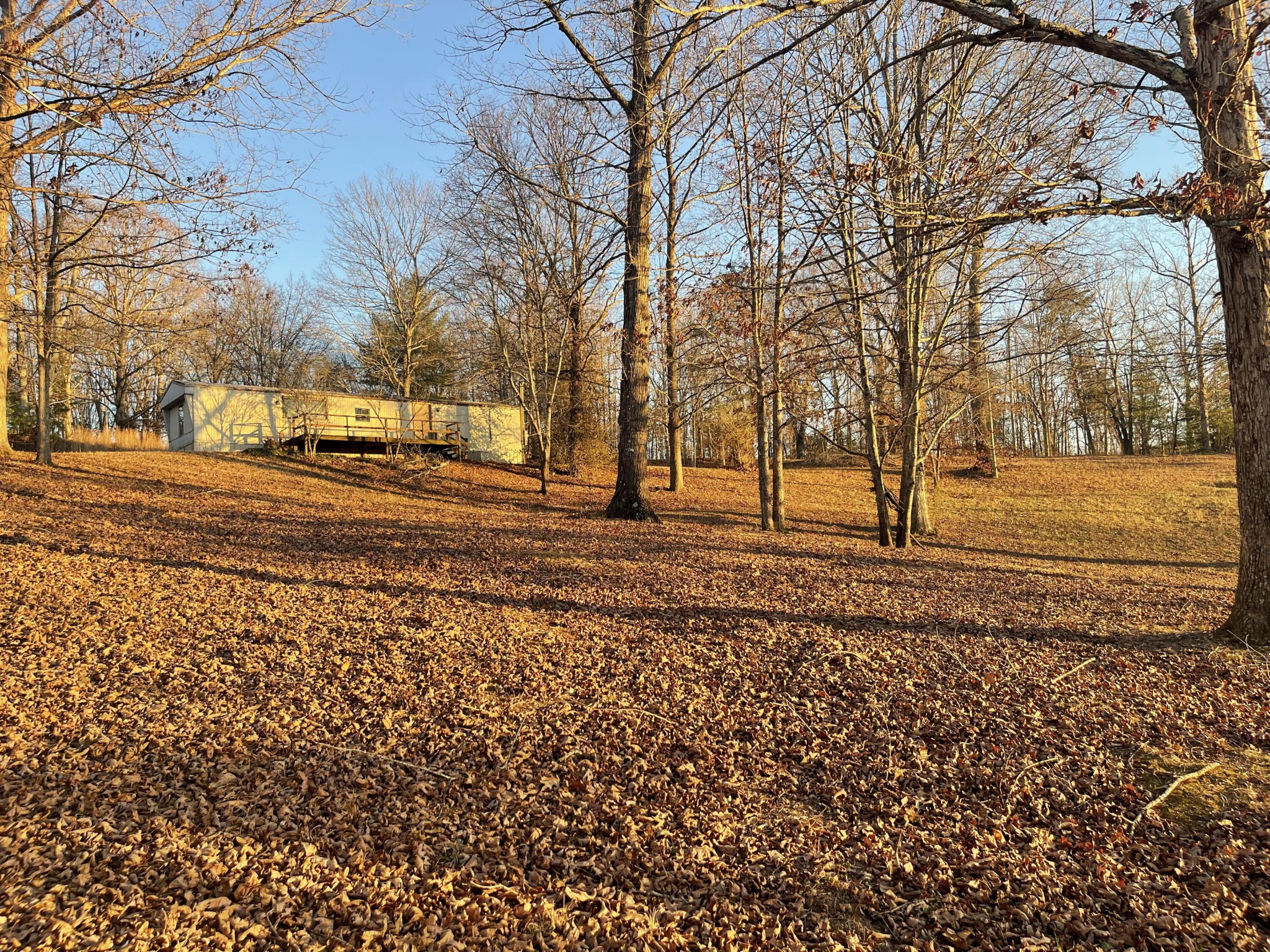 454 County Road 188 Property Photo 1