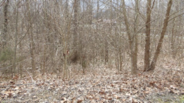0 Beaver Lane Property Photo 1